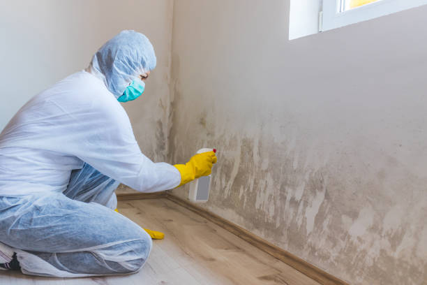 Licensed Mold Remediation service in Oxford, NC - WQB Mold Removal