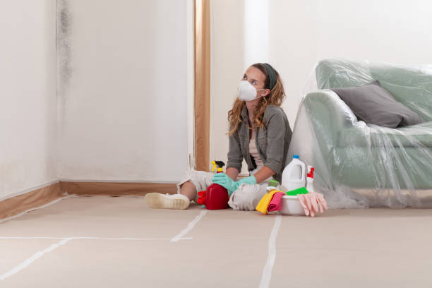 Reliable Mold Remediation contractor in Oxford, NC by WQB Mold Removal